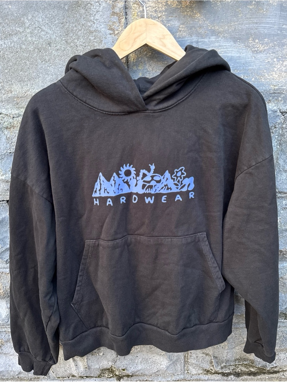 Mountain Hardwear X Extra Vitamins Women's XL Hoodie Art Gorpcore Climbing y2k